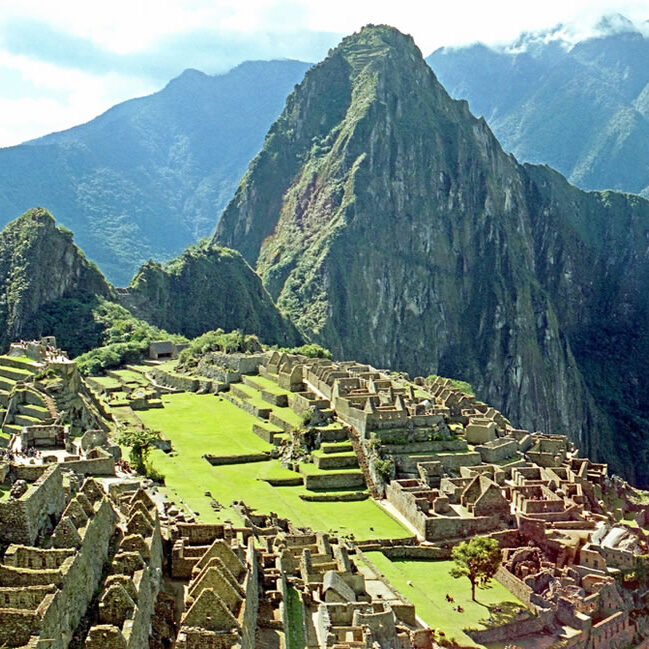 Peruvian Rainforest