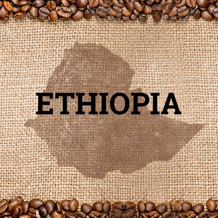 Ethiopian Harrar